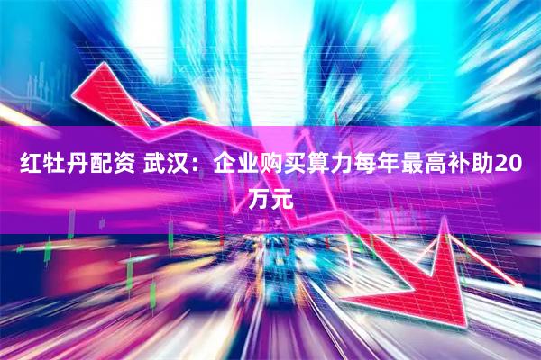 红牡丹配资 武汉：企业购买算力每年最高补助20万元