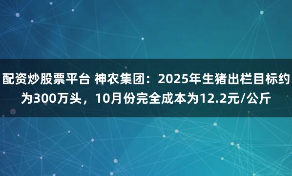配资炒股票平台 神农集团：2025年生猪出栏目标约为300万头，10月份完全成本为12.2元/公斤