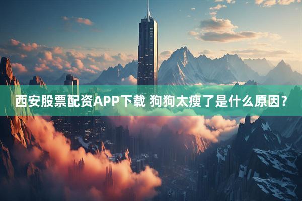 西安股票配资APP下载 狗狗太瘦了是什么原因?